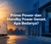 prime power dan standby power genset